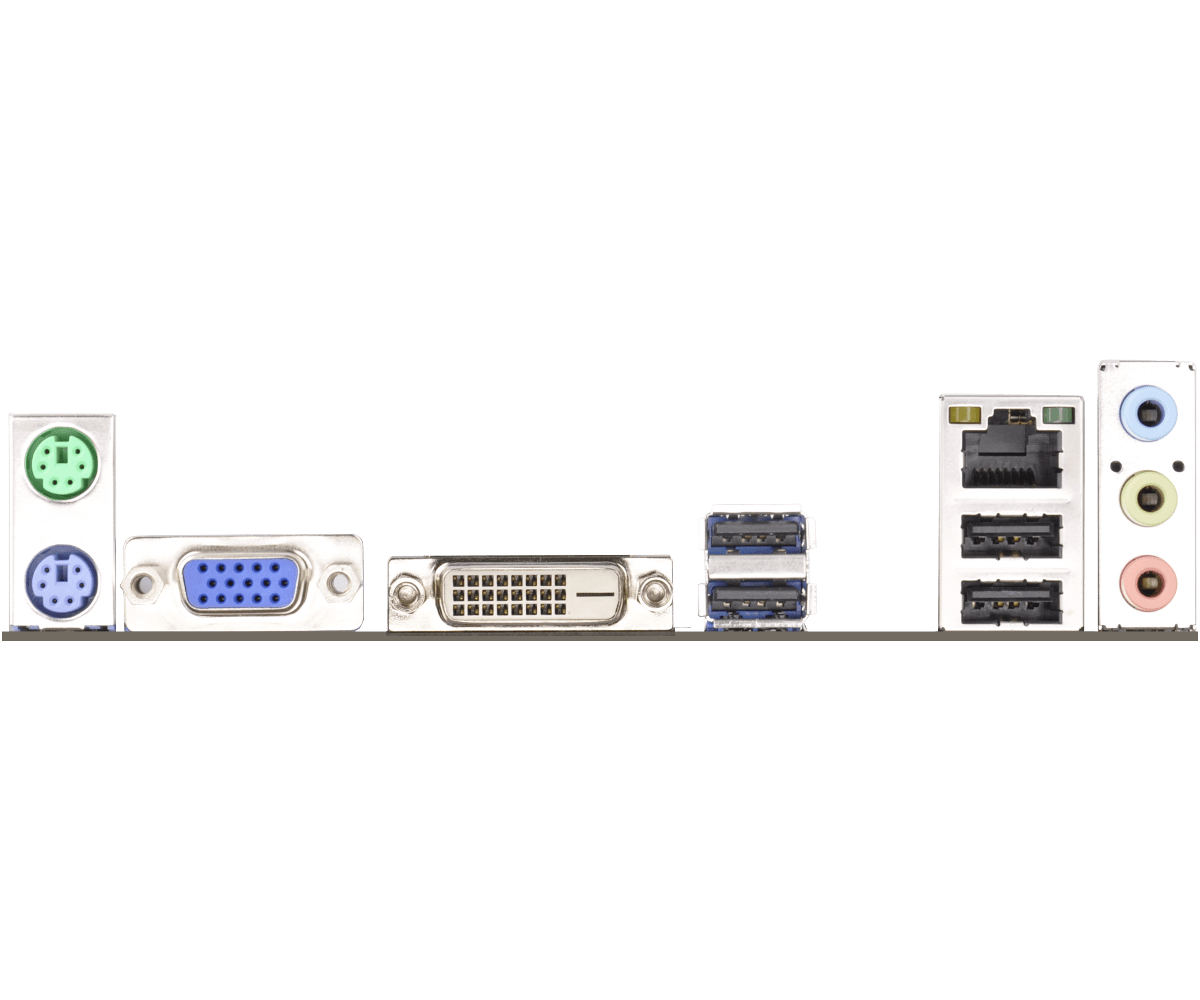 Asrock a55m dgs совместимость